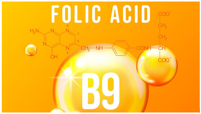 ACID FOLIC - BỔ SUNG ĐÚNG CÁCH ĐỂ PHÒNG NGỪA DỊ TẬT THAI NHI